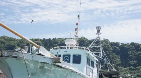 水揚げされた新鮮な魚
